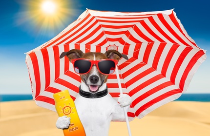 © javier brosch - Fotolia.com