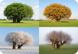 Foto: © Frank van den Bergh  i-stock®