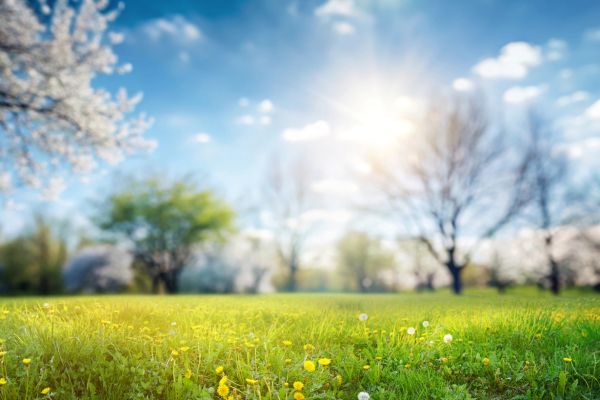 iStock  Larysa Pashkevich