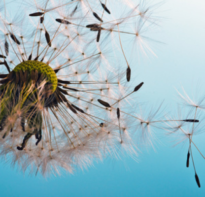 Â© doris oberfrank-list - Fotolia.com