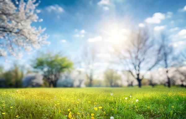 iStock  Larysa Pashkevich